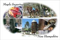 Maple sugaring in New Hampshire 2